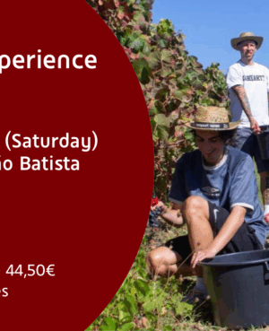 Harvest Experience 2025