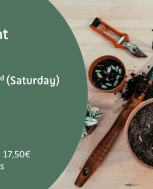 Indoor Plant Workshop