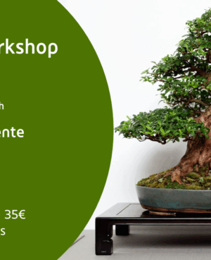 Bonsai Workshop
