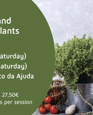 Medicinal & Aromatic Plants