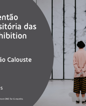 Diogo Pimentão - Força Transitória das Coisas - Private and Guided Visit - Fundação Calouste Gulbenkian - Mais França 2026